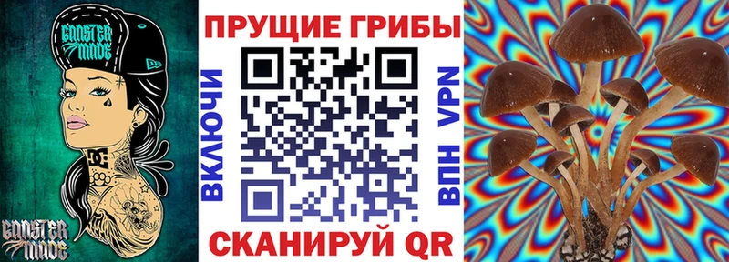 Купить закладки  Аркадак  Галлюциногенные грибы прущие грибы 